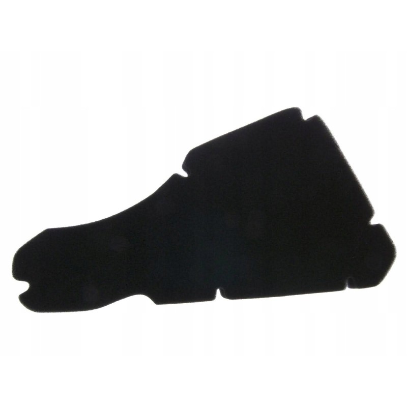 Air filter 101 octane sportcity one 50 4t