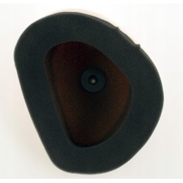 Sponge air filter Twin Air Kawasaki KX 250