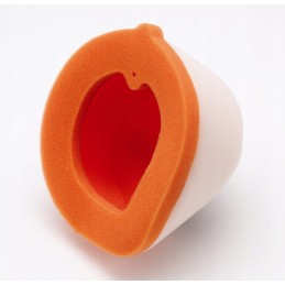 Sponge air filter Twin Air Husaberg Fe 550