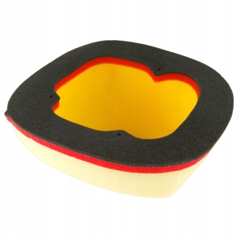 Air filter dt 205 13no dt 1 beta rr