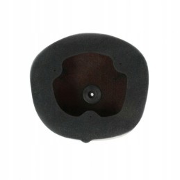 Twin air air filter yamaha wr 450 yz 250 450