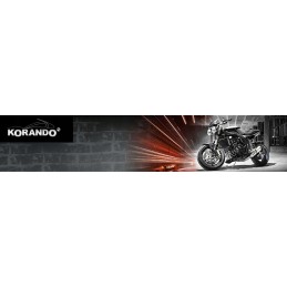 Honda CB 600 Hornet steering wheel weight ends