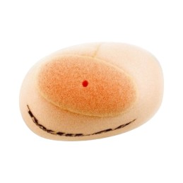 Sponge air filter twin air yamaha yfm660