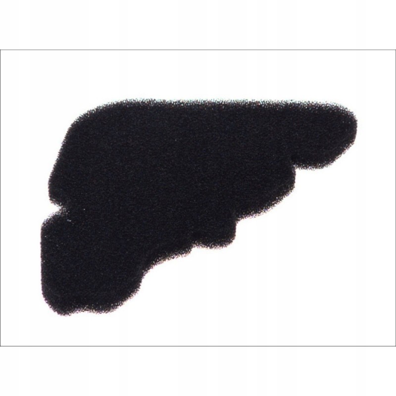 Air filter moto piaggio liberty 4t 50 00 03