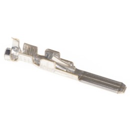 50 pcs - TE Connectivity, MIC Male