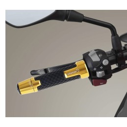 CNC Evermotor gold handlebar ends