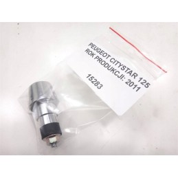 Peugeot citystar 125 weights steering bumper