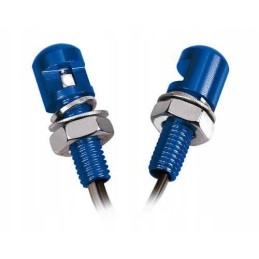 90176 LED screws blue light 2 pcs blue
