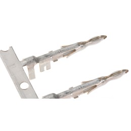 50 pcs - Delphi, Weather-Pack Male