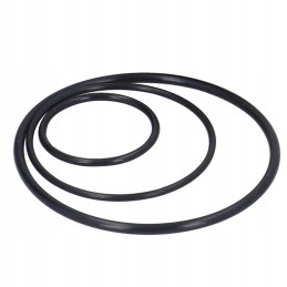 Fuel filter with sealing rings