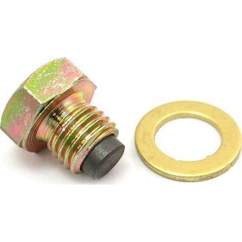 Magnetic oil drain screw gtr 1400 07 09