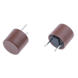 10 pcs - RS PROPC Board Non Resettable Fuse, Radial 1A, 250V ac