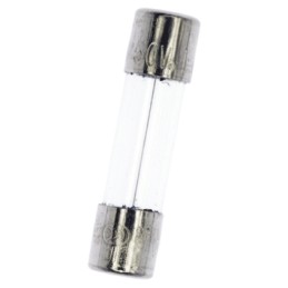 10 pcs - Schurter 100mA T Glass Cartridge Fuse, 5 x 20mm