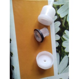 Unscrewed fuel filter with mesh