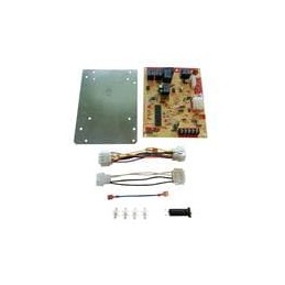 1 pcs : 21D83M-843 - Specialist Controllers Replace Kit Single Stg Nitride Frnc Mod