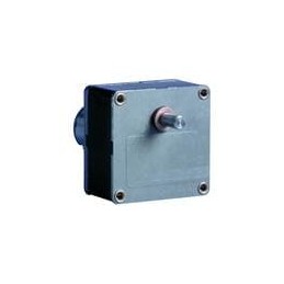 1 pcs : 82867012 - AC, DC & Servo Motors DC Brush Geared Motor 828670 Dir.2 5000RPM Vdc24 Con.Tabs Fil.Var. Ratio500