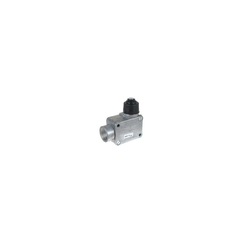 1 pcs : 902VB1-PG - Limit Switches Enclosed BasicSwitch