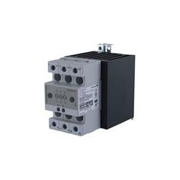 1 pcs : RGC2P60AA40C1 - Contactors - Solid State 2P -SSC I IN - 1FC 600V 2X40A 1200VP