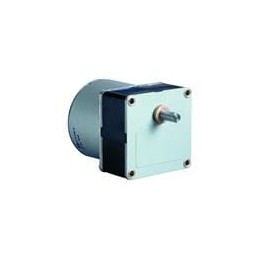 1 pcs : 80547018 - AC, DC & Servo Motors Synchronous Geared Motor 805470 Dir.2 V220-230 Hz50 Ratio250/3