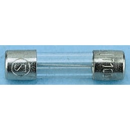10 pcs - Schurter 2.5A T Glass Cartridge Fuse, 5 x 20mm