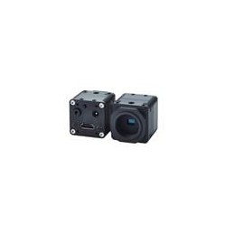 1 pcs : STCHD213SDINB - Cameras & Camera Modules Industrial Camera, HD Output, 1080p, 60 FPS, Board, C Lens Mount, No Memory