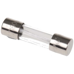 10 pcs - Littelfuse 160mA T Glass Cartridge Fuse, 5 x 20mm