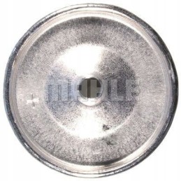 BMW Ducati Mahle fuel filter