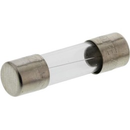 10 pcs - Mersen 2A T Glass Cartridge Fuse, 5 x 20mm