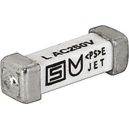 10 pcs - SchurterSMD Non Resettable Fuse 1A, 125 V dc, 250V ac