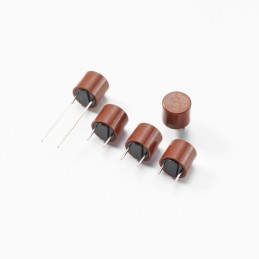 10 pcs - Wickmann Non Resettable Fuse 2.5A, 250V ac