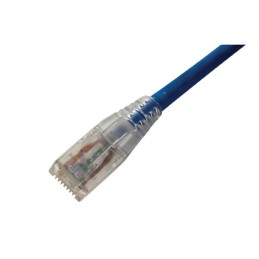 1 pcs - Amphenol Industrial Cat6 RJ45 to RJ45 Ethernet Cable, Unshielded, Blue, 2m