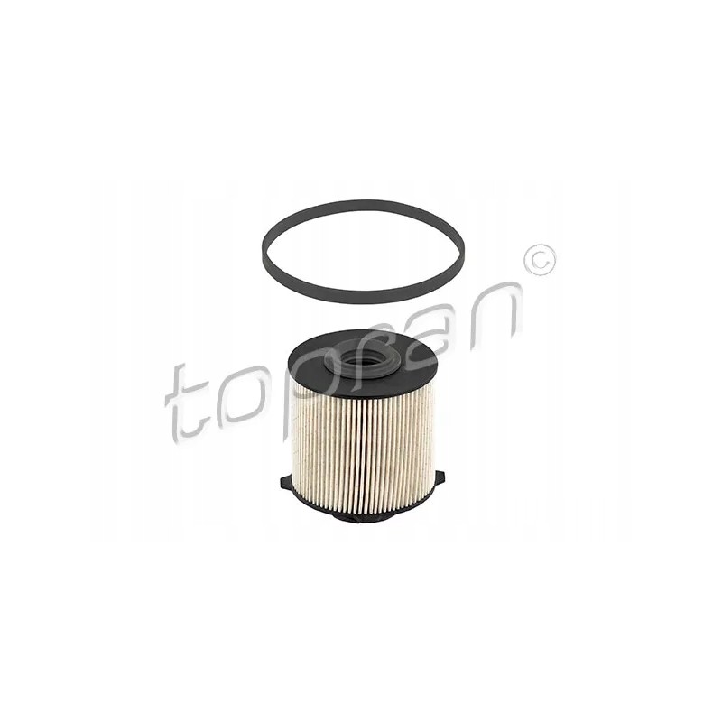Topran fuel filter