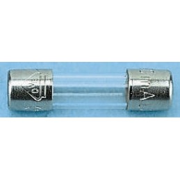 10 pcs - Schurter 1.6A F Glass Cartridge Fuse, 5 x 20mm