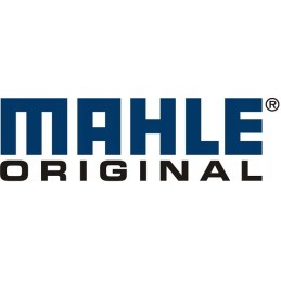 Mahle original class 145 fuel filter