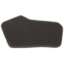 Honda dio 50 air filter sponge filter insert