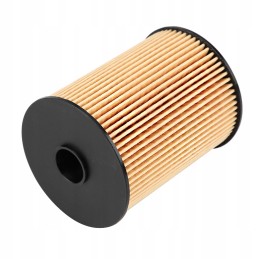 Mini Cooper fuel filter 16146757196