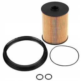 Mini Cooper fuel filter 16146757196