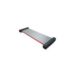 1 pcs : TCMD-12-01 - Ribbon Cables / IDC Cables 2.00 mm IDC Ribbon Cable Assembly, Terminal