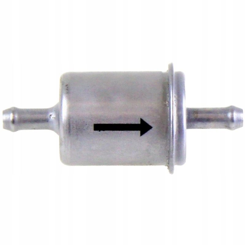 Fuel filter for Benelli Leoncino TNT 125 motorcycles