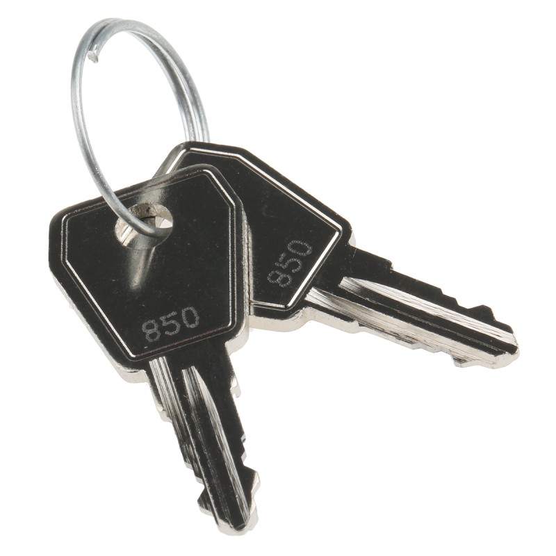 1 Pack of 2 - Key for Operated Switch