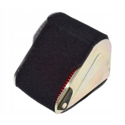 Air filter insert for scooter 2t cpi gtx 125 cm