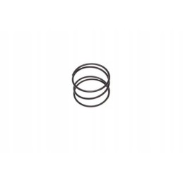 Am6 motogeneric foot starter wheel spring