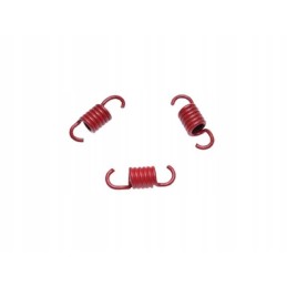 Rear clutch shoe spring tuning 2t motogeneric