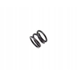 Cam wheel spring atv250 st 9e motogeneric