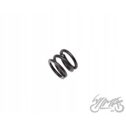 Cam wheel spring atv250 st 9e motogeneric