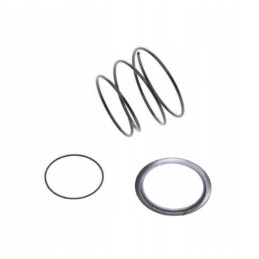 Bowl spring securing basket narrow etz150 motogeneric