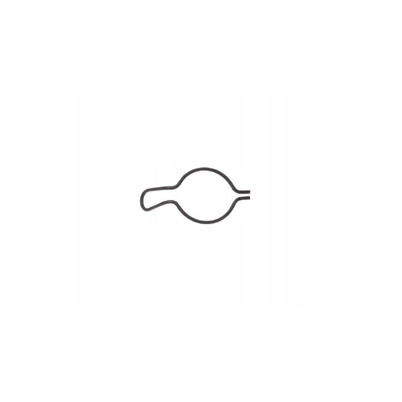 Piaggio Zip 50 4t motogeneric starter wheel spring