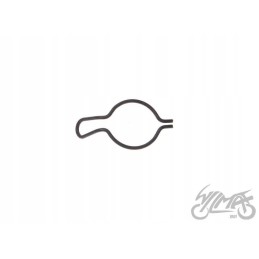 Piaggio Zip 50 4t motogeneric starter wheel spring