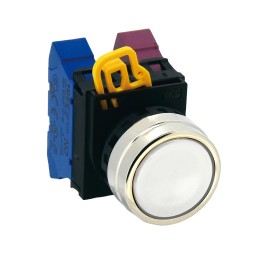 1 pcs - Idec YW4B Series White Momentary Push Button Head, 22mm Cutout, IP65