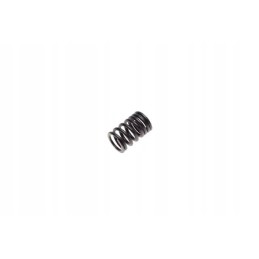 Large valve spring shineray xy125 10d motogeneric